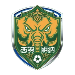 玉溪队
